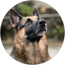 Kamal vardhan M profile picture